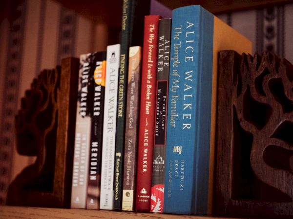 A row of colorful books on a shelf, with wooden carved bookends framing them.